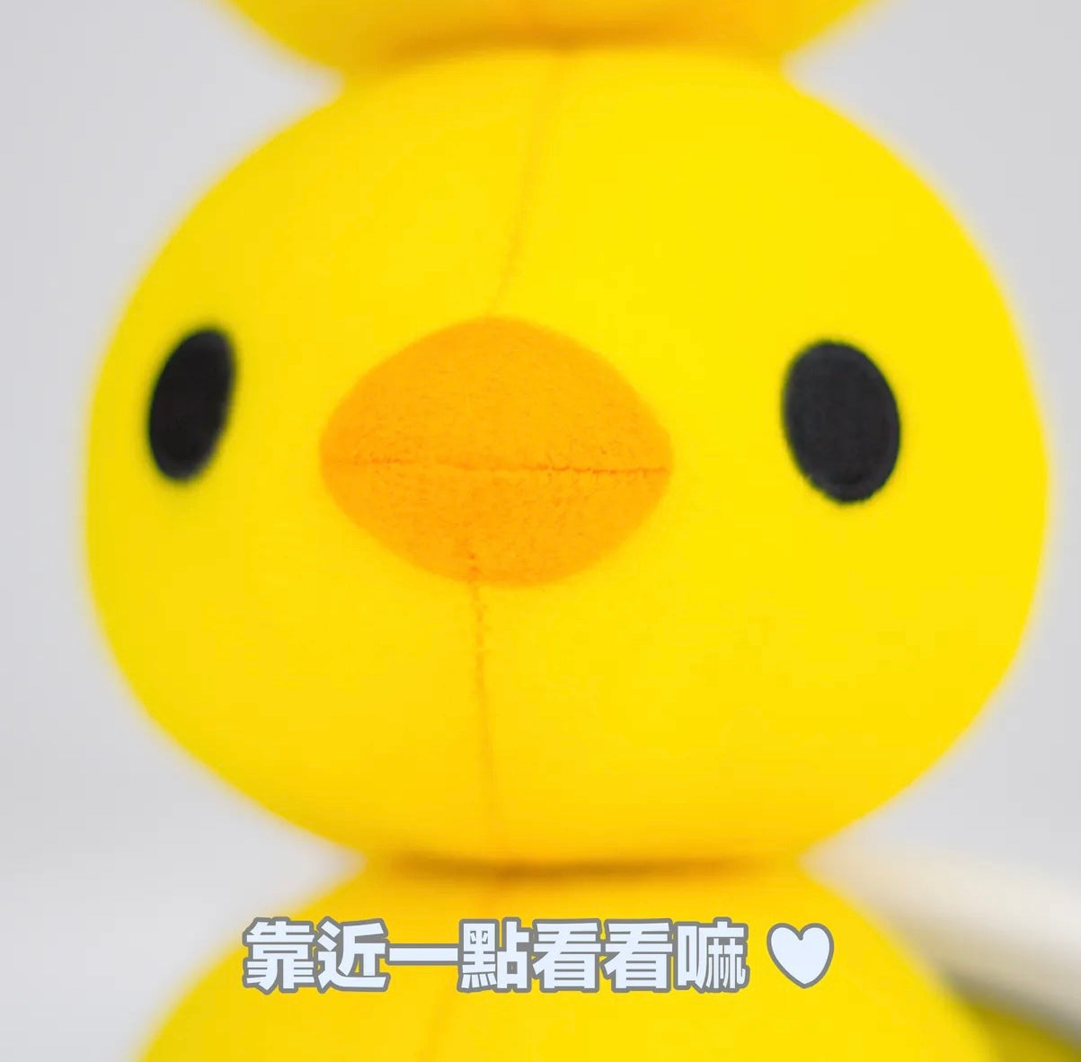 Chick Plush