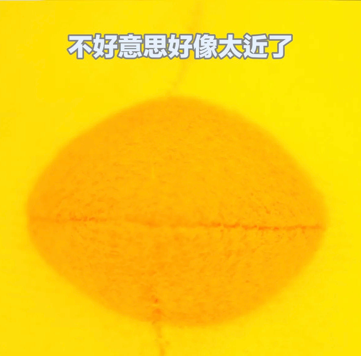 Chick Plush
