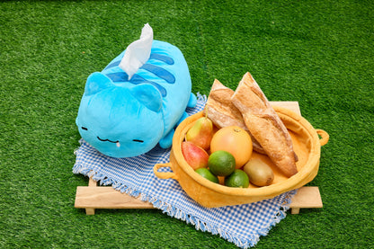 Bugcat Capoo Tissue Box & Storage Basket Set