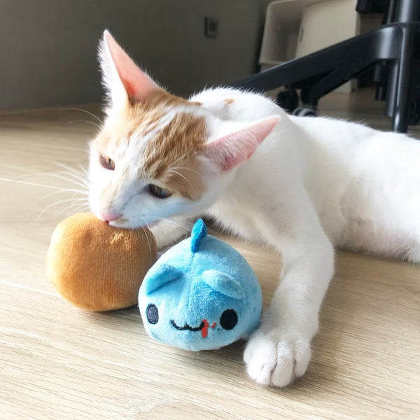Bugcat Capoo Fish soft toy with built-in squeaker for pets