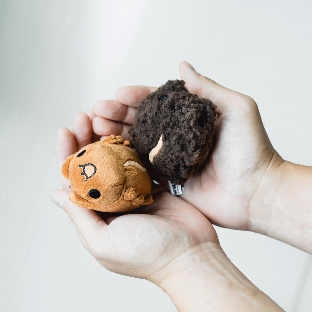 Coffee Bean Bugcat Plush Charm