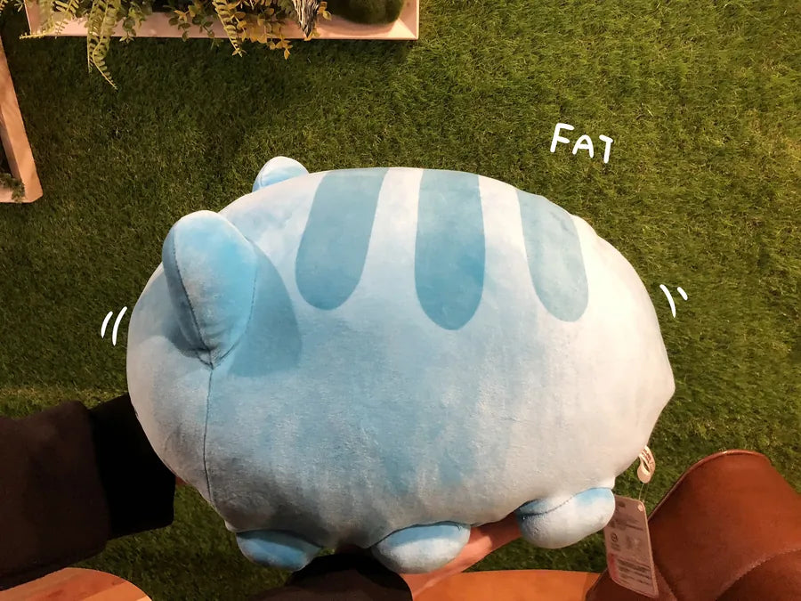 Holding Lazy Capoo Plush