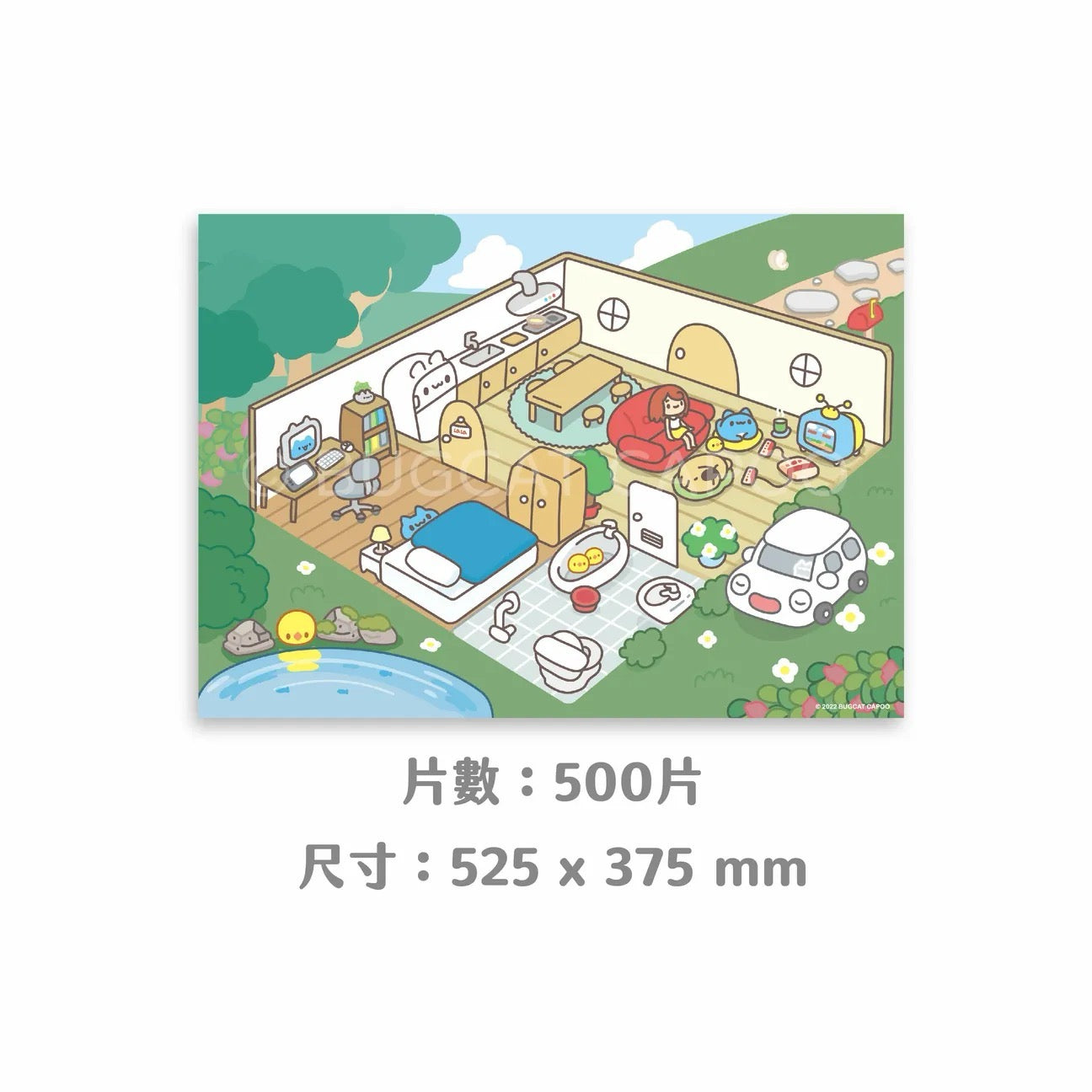 Lala's Room Puzzle