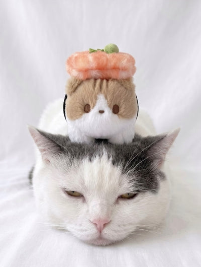 Sushi Cat Omakase Gift Box